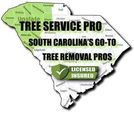 Tree Service & Affordable Removal in Anderson SC